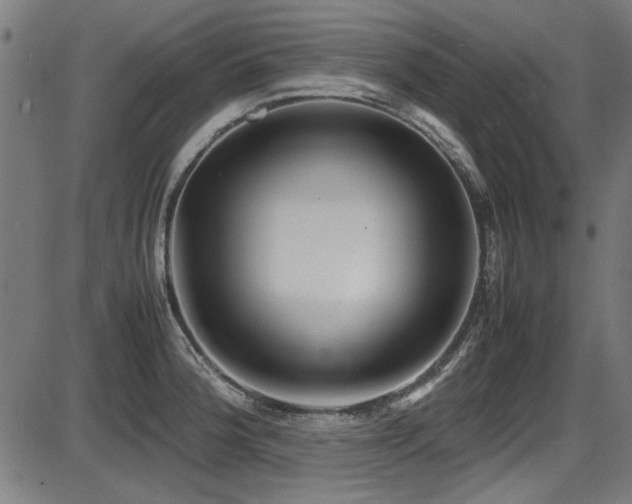 X0000087641188200705031503