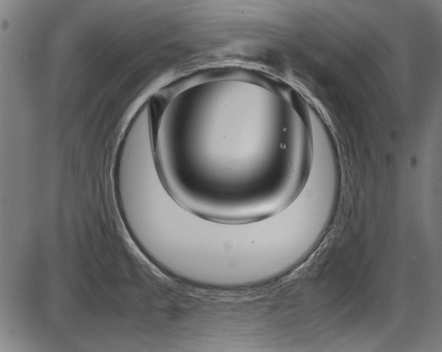 X0000087641189200705031503