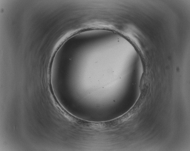 X0000087641191200705031503