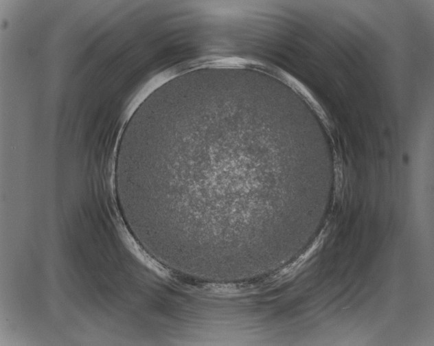 X0000087641194200705031502