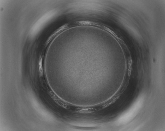 X0000087641198200705031502