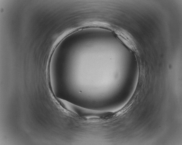 X0000087641199200705031502