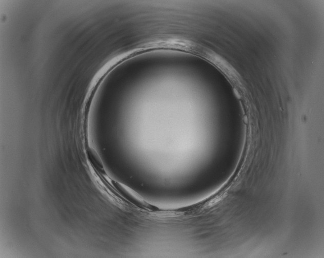 X0000087641200200705031502