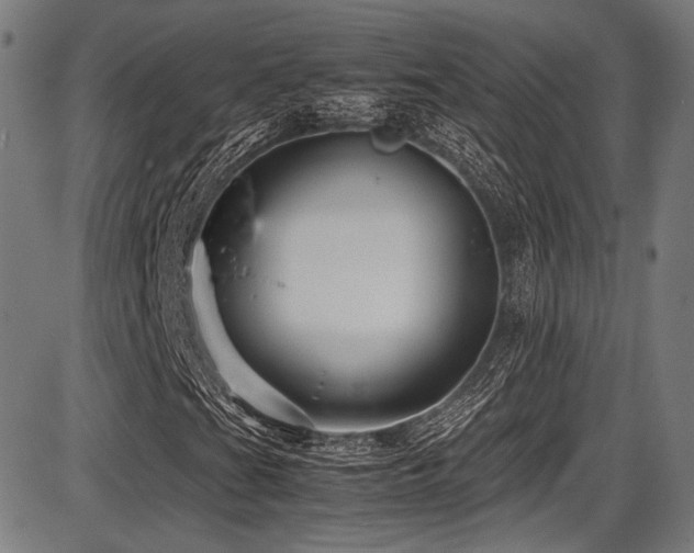 X0000087641201200705031502