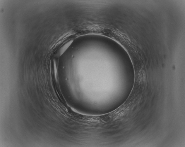 X0000087641205200705031502