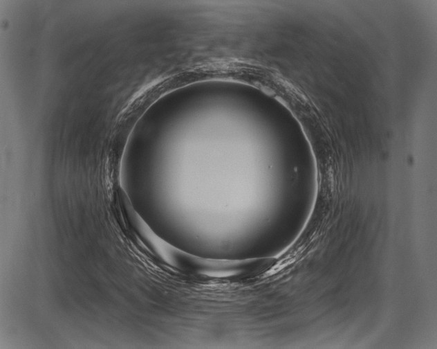 X0000087641206200705031502