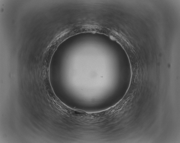 X0000087641207200705031502