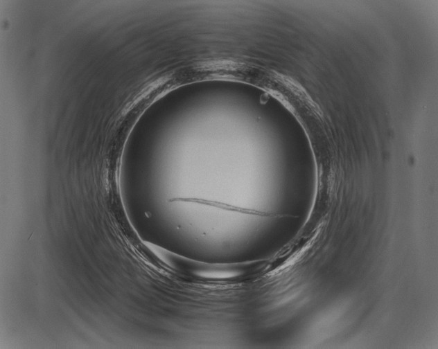 X0000087641209200705031502