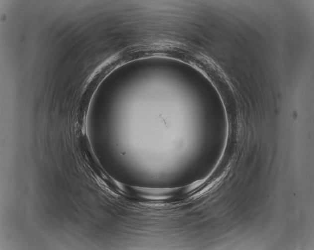 X0000087641210200705031502