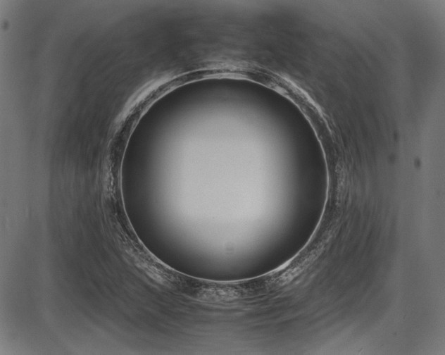 X0000087641215200705031502