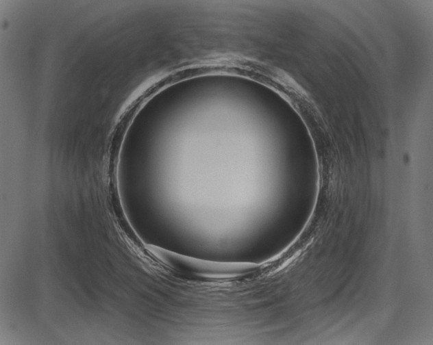 X0000087641216200705031502