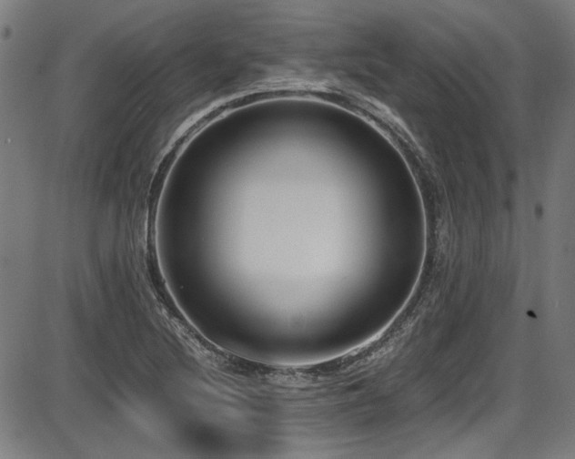 X0000087641220200705031502