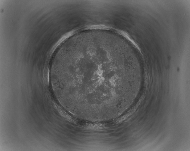 X0000087641221200705031502