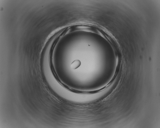 X0000087641222200705031502