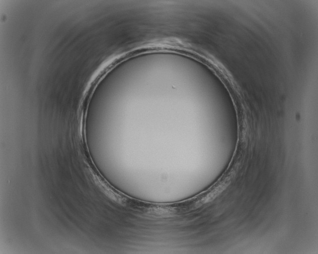 X0000087641224200705031502