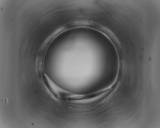 X0000087641225200705031502