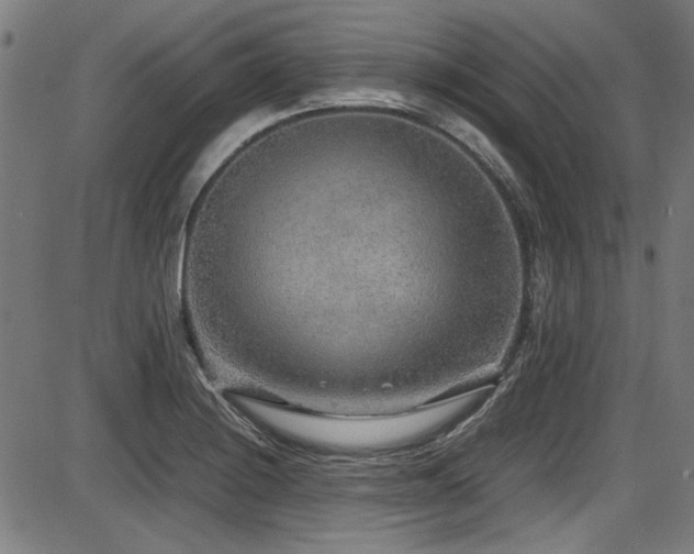 X0000087641228200705031502