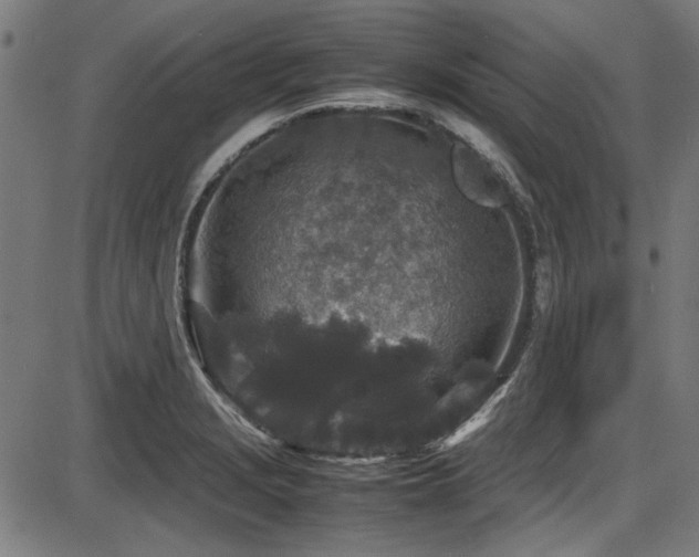 X0000087641229200705031502