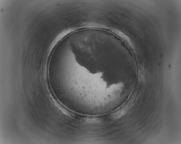 X0000087641231200705031502