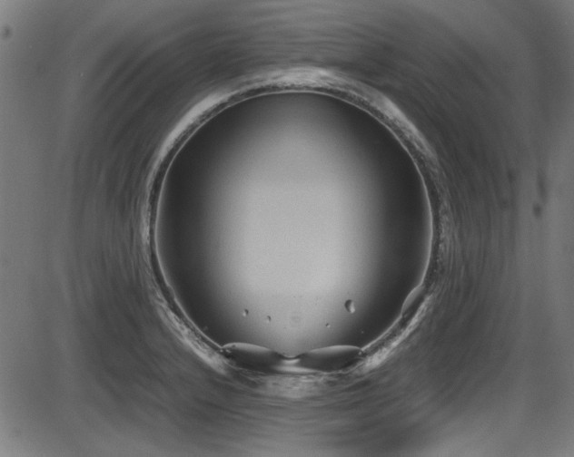 X0000087641232200705031502