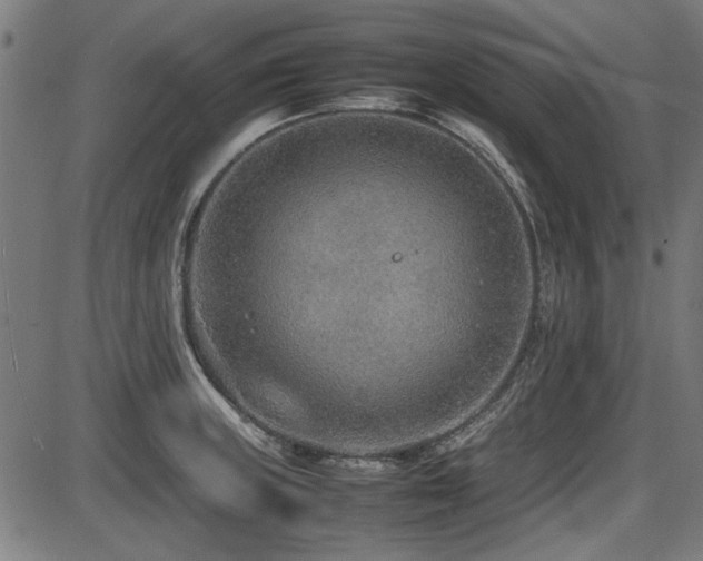 X0000087641235200705031502