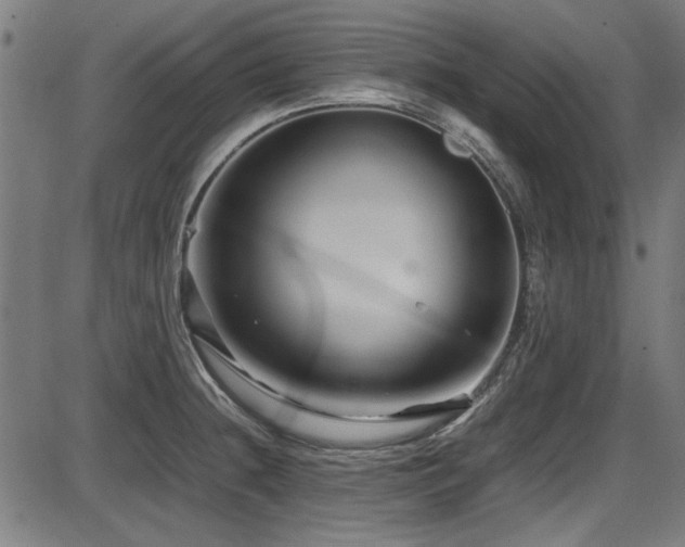 X0000087641236200705031502