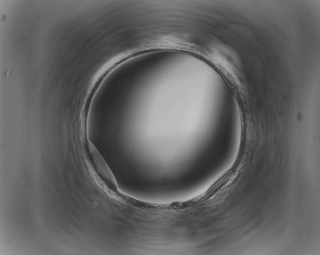 X0000087641238200705031502