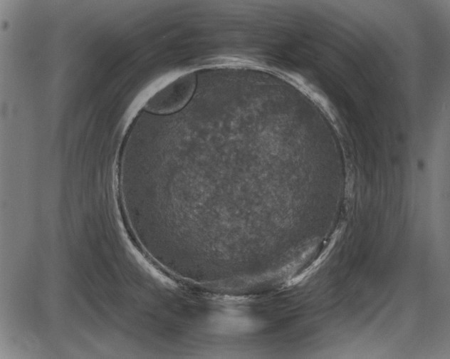 X0000087641239200705031502