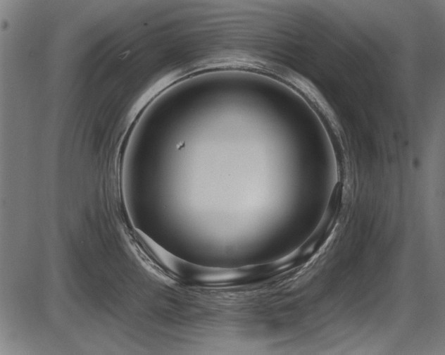 X0000087641242200705031502