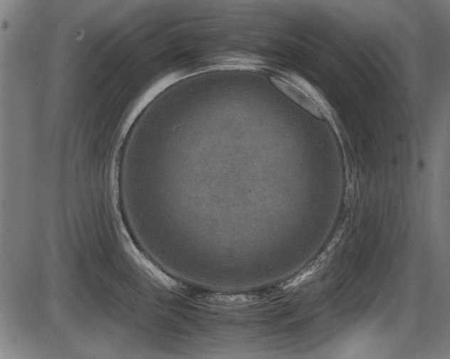 X0000087641243200705031502