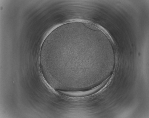 X0000087641244200705031502