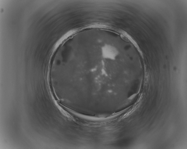 X0000087641245200705031502