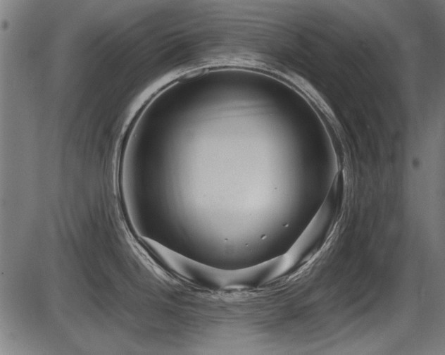 X0000087641246200705031502