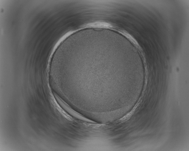 X0000087641248200705031502