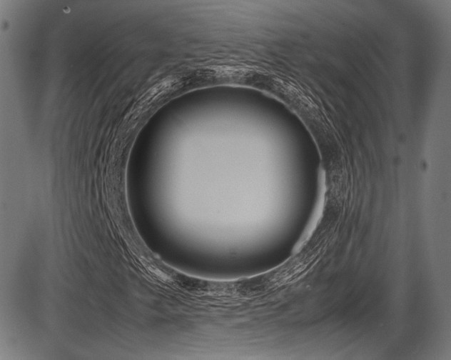 X0000087641249200705031502