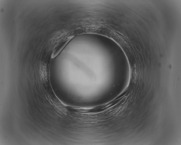 X0000087641252200705031502