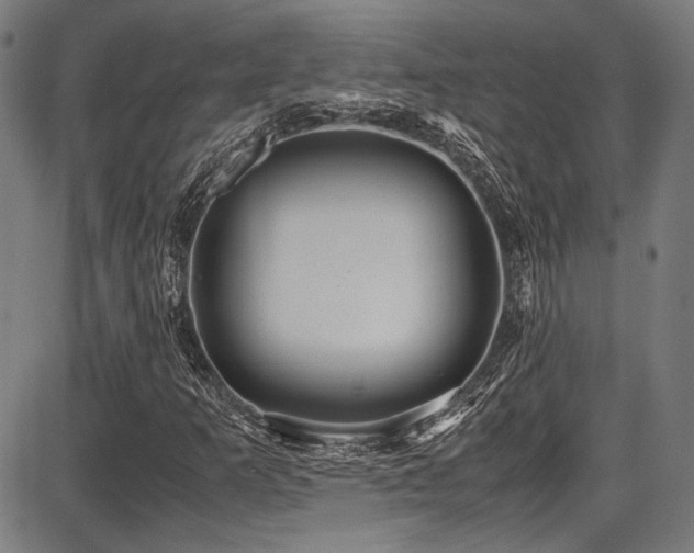 X0000087641253200705031502