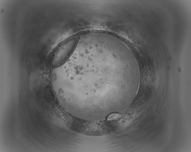 X0000087641255200705031501