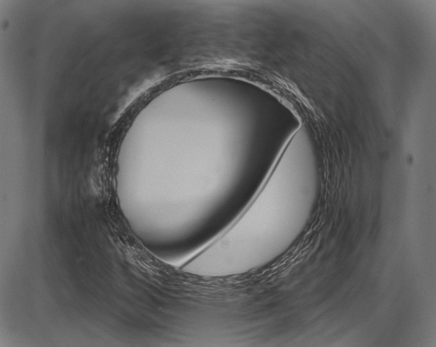 X0000087641256200705031501