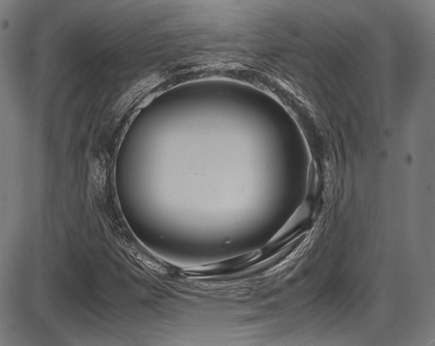 X0000087641257200705031501