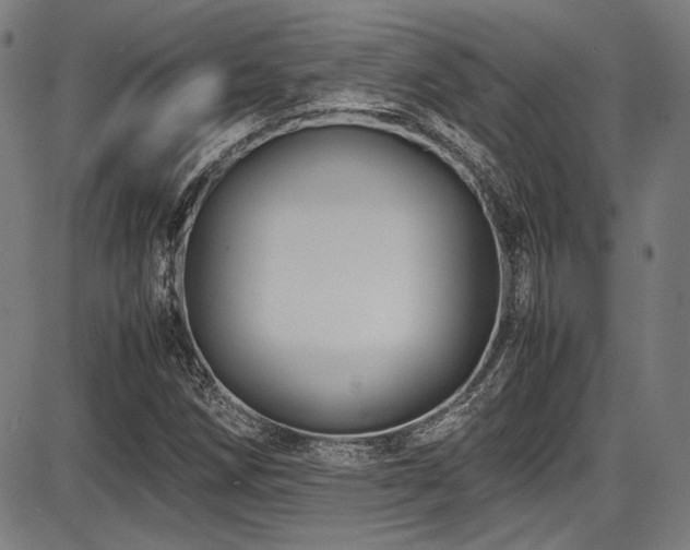 X0000087641258200705031501