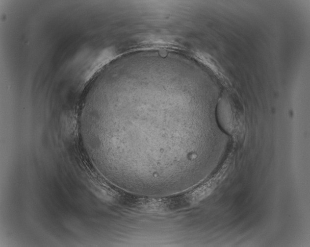 X0000087641259200705031501