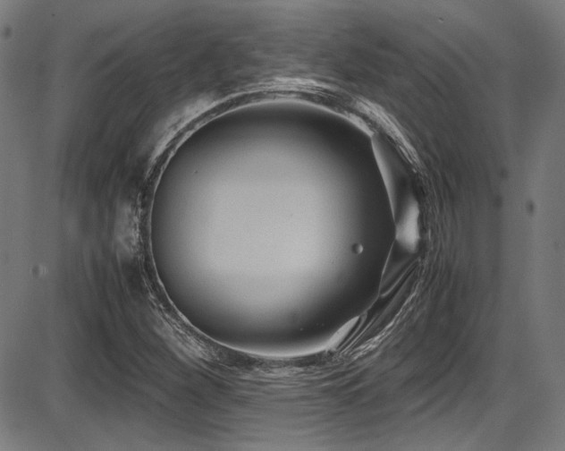 X0000087641260200705031501