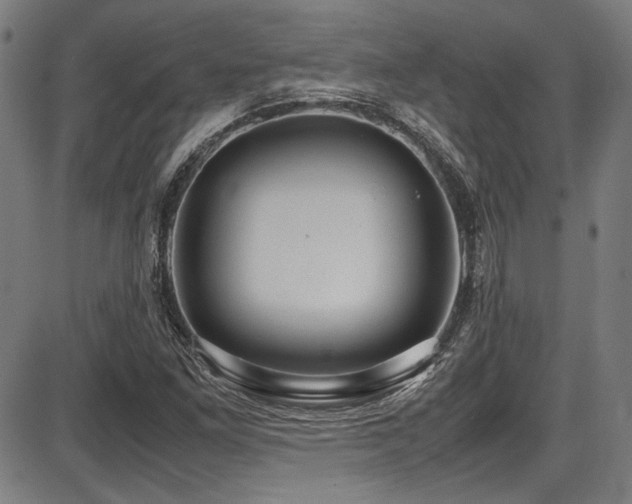 X0000087641261200705031501