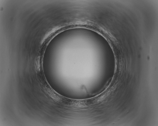 X0000087641262200705031501