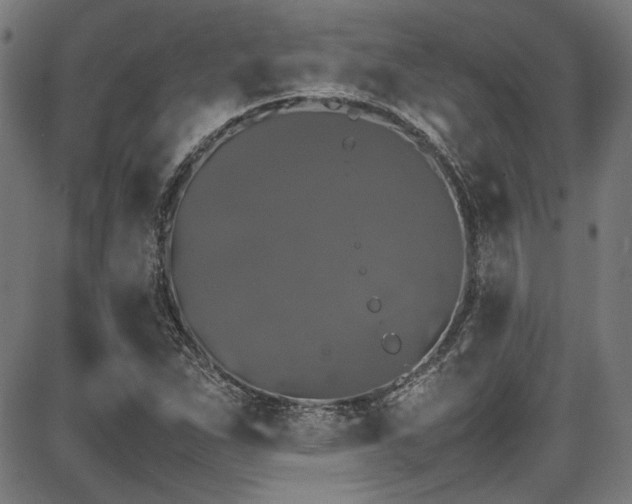 X0000087641263200705031501