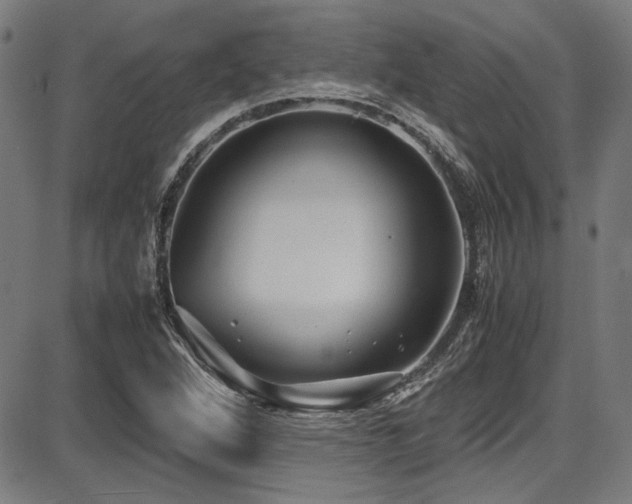 X0000087641264200705031501