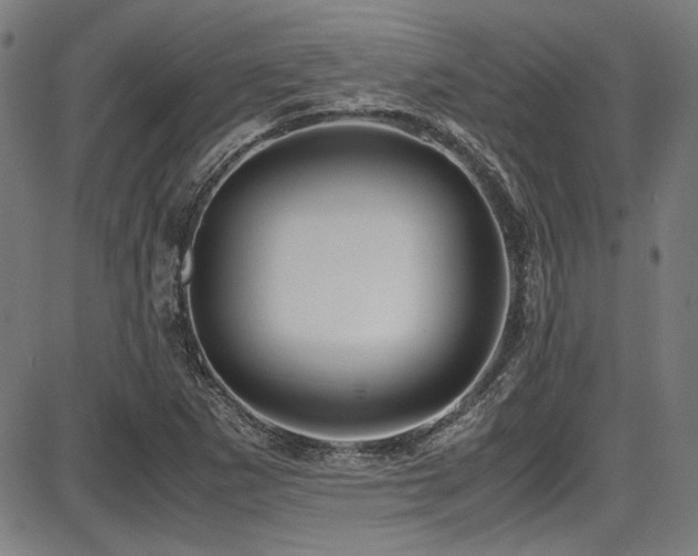 X0000087641265200705031501