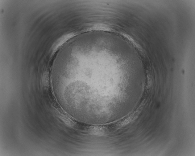 X0000087641266200705031501