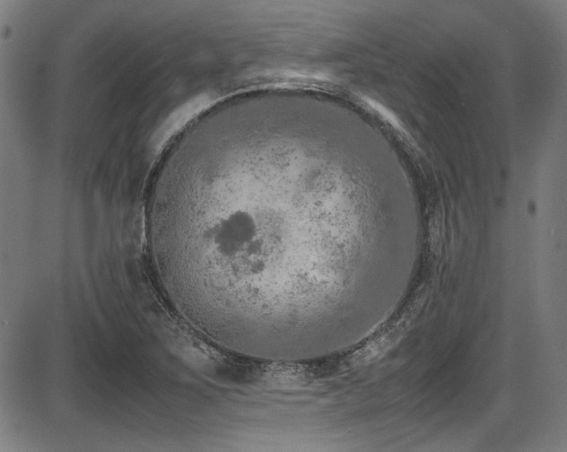 X0000087641267200705031501